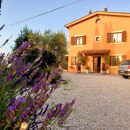 Locanda Della Lavanda San Clemente  Extérieur photo
