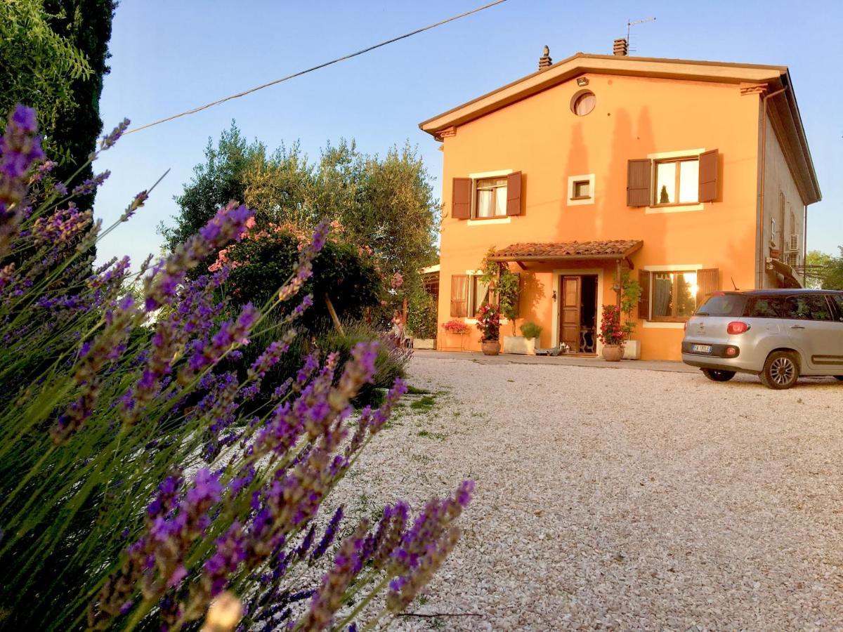 Locanda Della Lavanda San Clemente  Extérieur photo
